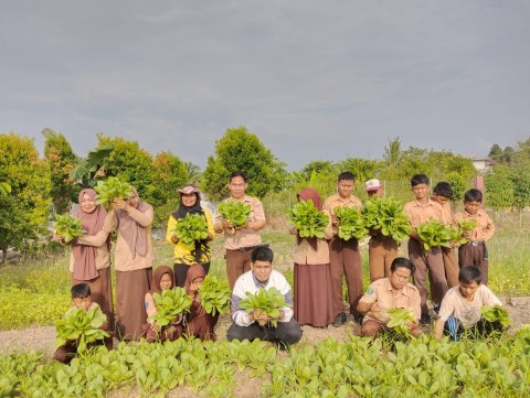 Panen Hasil Kebun Sekolah dan Memasarkan Kepada Orang Tua